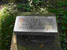 Modern marker for Anna Runyon runyon park lockport il